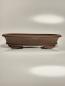 Preview: Bonsaischale oval 460mm x 350mm x 95mm