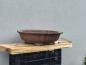 Preview: Bonsaischale rund 610mm x 175mm