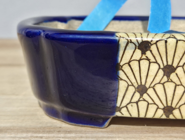 Preview: Tokoname Terahata Satomi 160mm × 123mm × 45mm