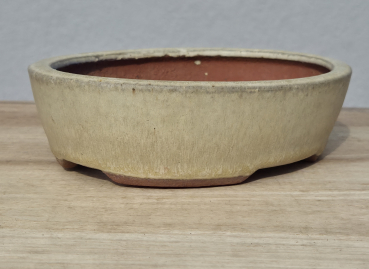 Preview: Tokoname Youzan 155mm × 127mm × 42mm