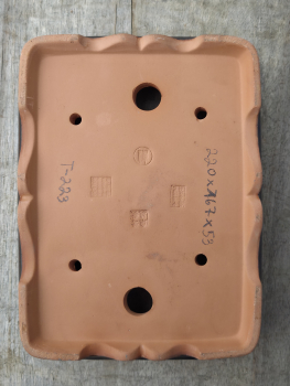 Preview: Bonsaischale rechteckig 220mm × 167mm × 53mm