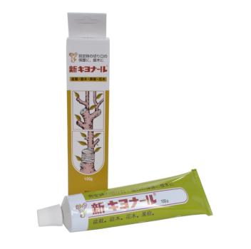Bonsai-Wunpdaste von Kaneshin/Kiyonal 100g