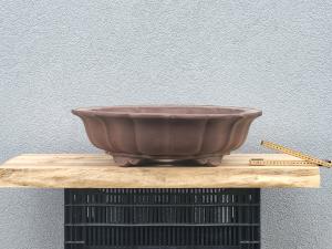 Bonsaischale rund 610mm x 175mm