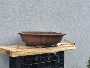 Bonsaischale rund 610mm x 175mm