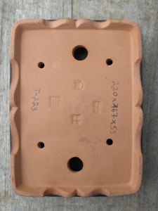 Bonsaischale rechteckig 220mm × 167mm × 53mm