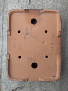 Bonsaischale rechteckig 220mm × 168mm × 55mm