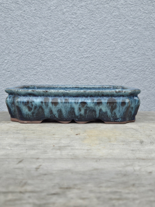 Bonsaischale rechteckig 215mm × 165mm × 50mm